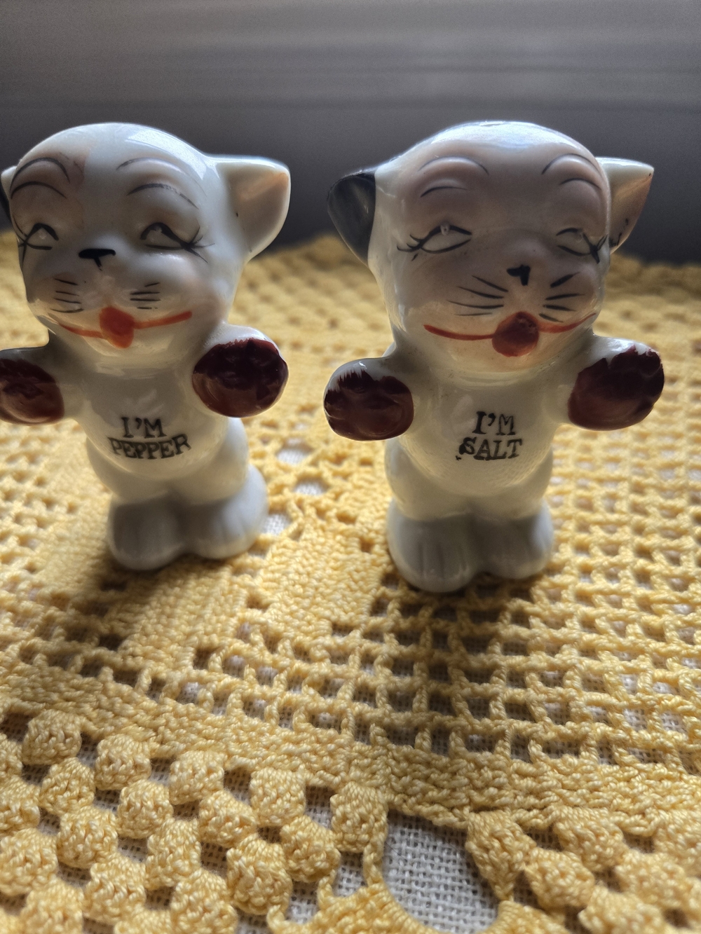 Ceramic Cat Salt and Pepper Shakers - White and Red